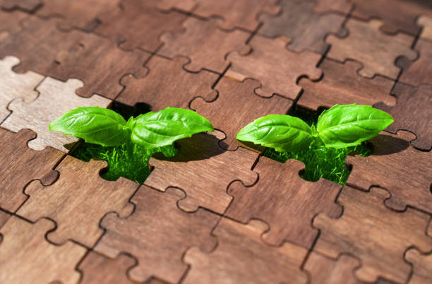 istock Two Young Seedlings Grow in an Empty Puzzle Slot 1494750972