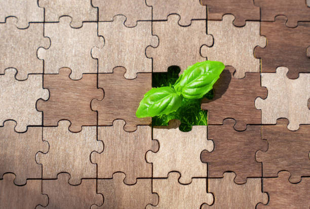 istock Young Seedling Breaks through a Wooden Jigsaw Puzzle 1494750992