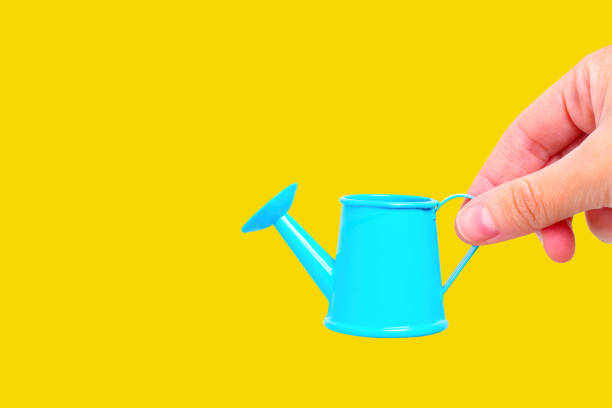 istock Miniature Blue Watering Can in Hand 1494751322