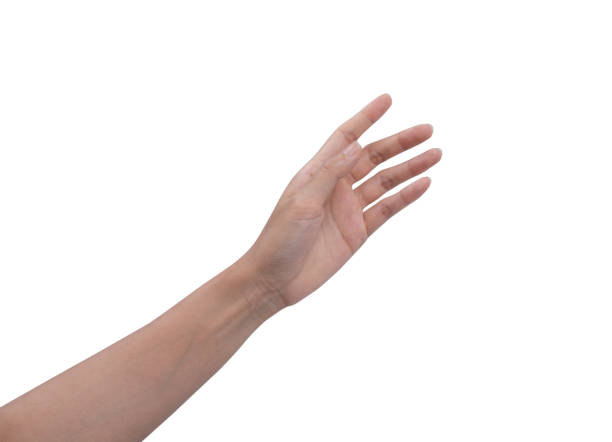istock Woman hand isolated on white background 1494752880