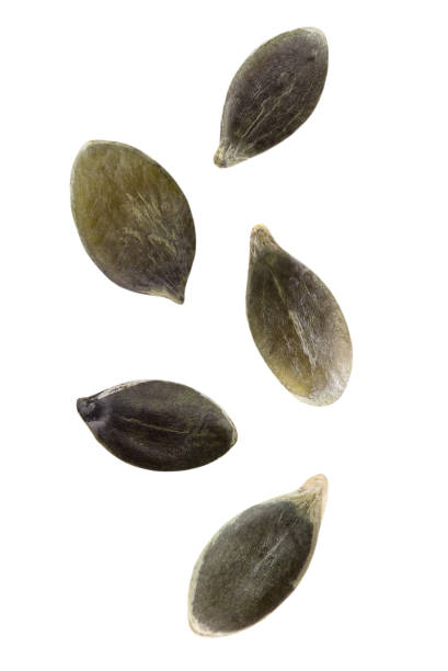 istock Levitation of pumpkin seeds isolated on white background. 1494753215