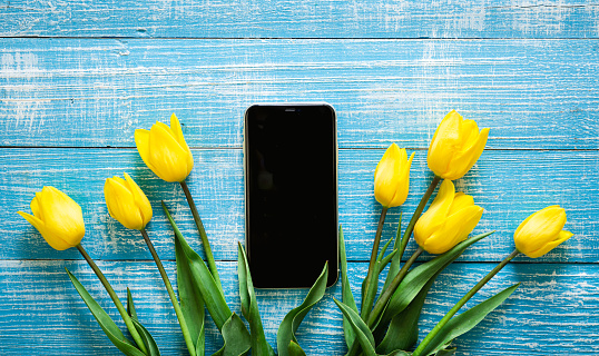 Bouquet of yellow tulips and a smartphone on a blue wooden background, top view.