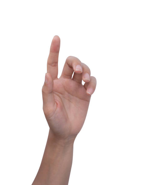 istock Woman hand, finger pointing or touching virtual screen isolated on white background 1494754564