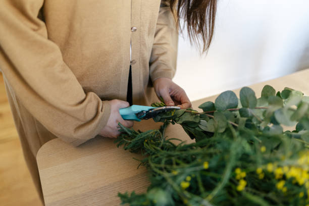 istock Young woman cutting flowers 1494757746