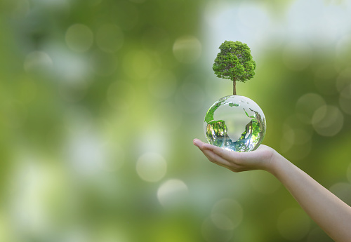 Hand holding glass globe ball with tree.Earth Day or World Environment Day, environmentally friendly concept. Save our Planet, protect Green Nature, sustainable lifestyle and Climate change.