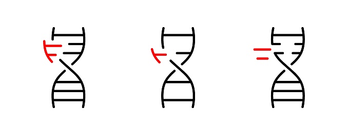 DNA modification thin line icons, editable stroke