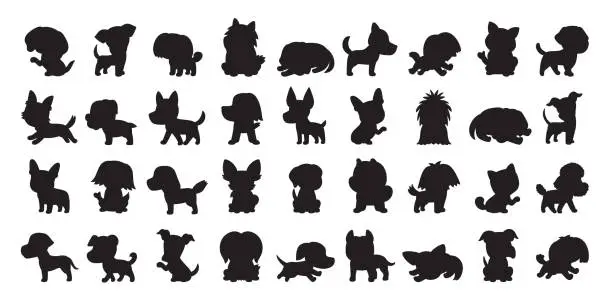 Vector illustration of Different type of vector silhouette dogs