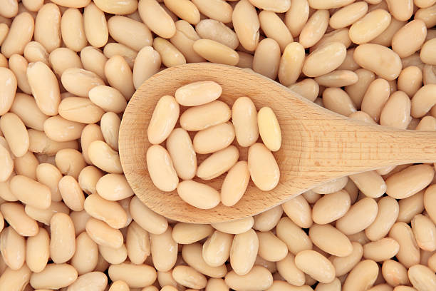 Cannellini Beans stock photo