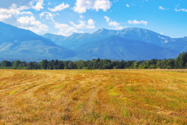 scenic rural tatra mountain landscape in slovakia. agricultural fields in the valley
