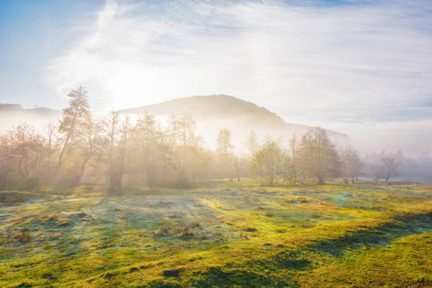 istock countryside landscape on a misty sunrise 1494780614