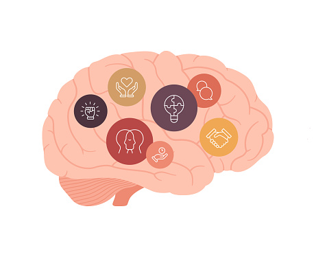 Soft skill for business concept collection. Vector flat illustration. Human brain with various competencies icon symbol isolated on white background. Design for corporate training, business