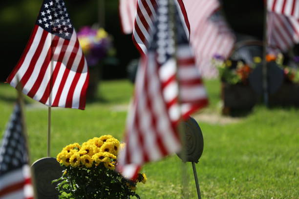 istock American Flags Flying on Veterans Cemetery 1494782707