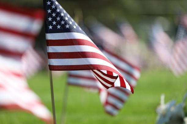 istock American Flags Flying on Veterans Cemetery 1494782766
