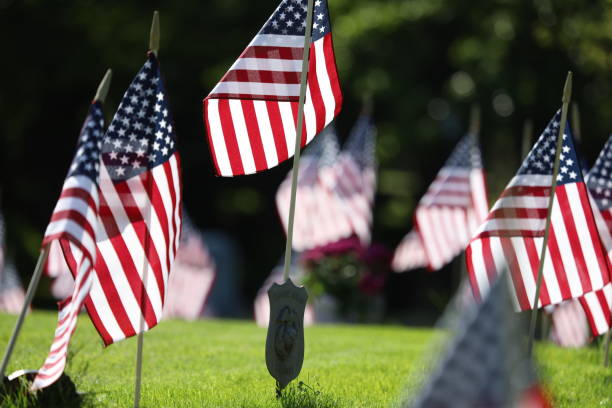 istock American Flags Flying on Veterans Cemetery 1494782785