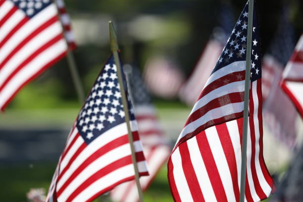 istock American Flags Flying on Veterans Cemetery 1494782800