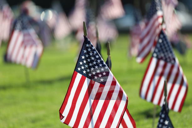 istock American Flags Flying on Veterans Cemetery 1494782803