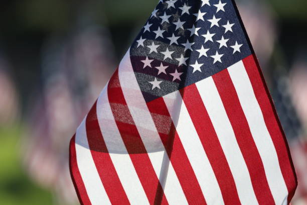 istock American Flags Flying on Veterans Cemetery 1494782816