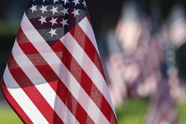 istock American Flags Flying on Veterans Cemetery 1494782828