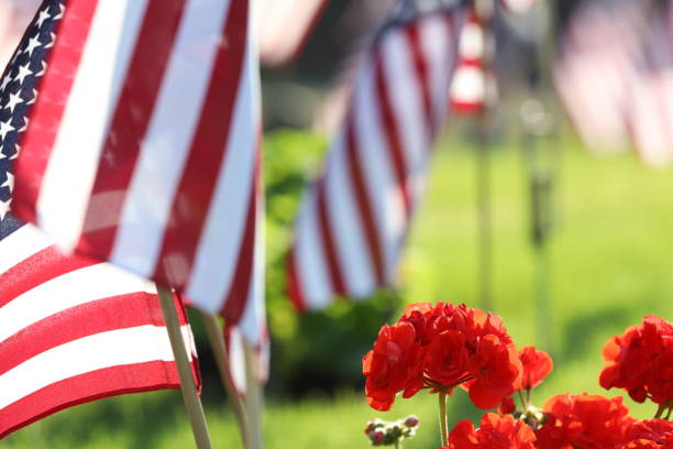 istock American Flags Flying on Veterans Cemetery 1494782866