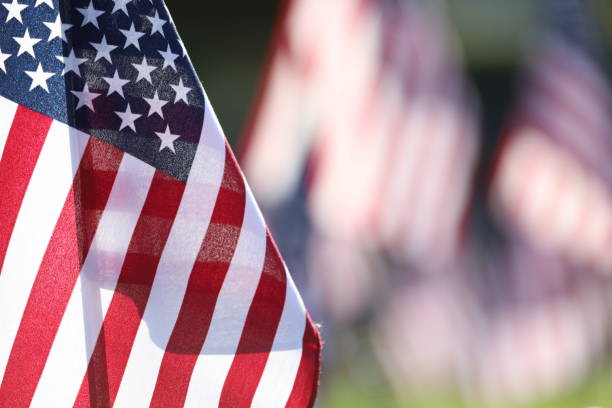 istock American Flags Flying on Veterans Cemetery 1494782893