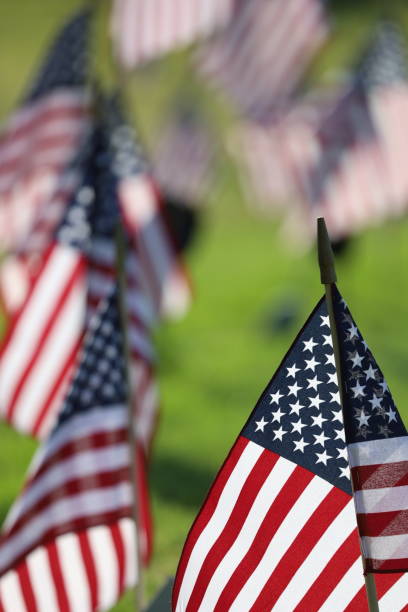 istock American Flags Flying on Veterans Cemetery 1494782896