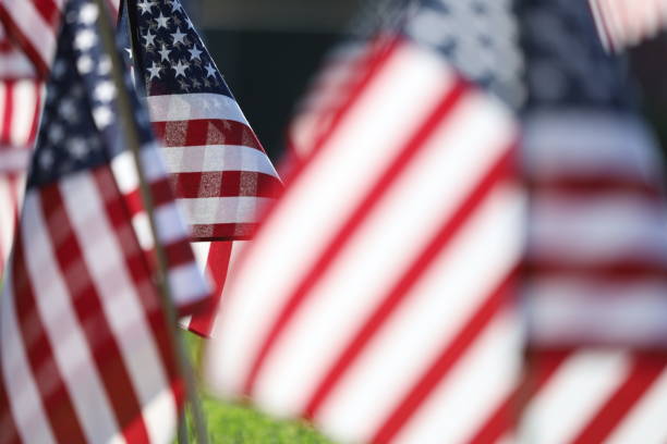 istock American Flags Flying on Veterans Cemetery 1494782925