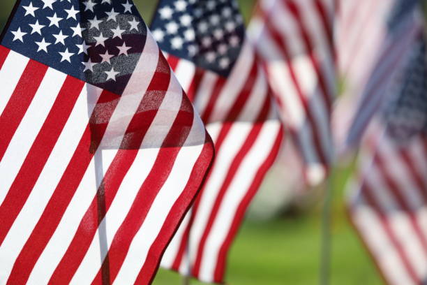 istock American Flags Flying on Veterans Cemetery 1494782961
