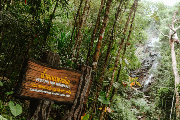 istock Phaeng Noi waterfall at Koh Phangan, Suratthani, Thailand 1494784238