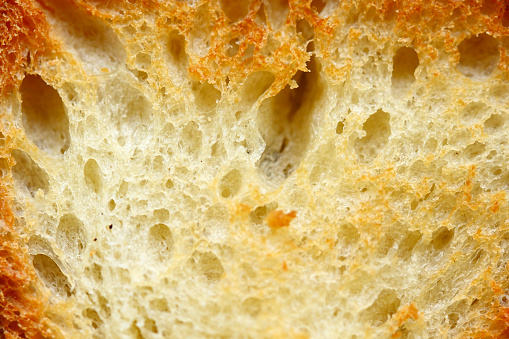 bread toasted in a toaster close-up