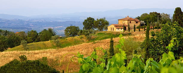 istock Tuscan landscape panorama in evening sun 149479067
