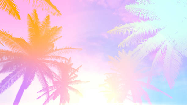 istock 1980s retro background with tropical summer palm tree and sunlight 1494790879