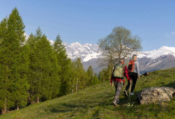 istock Mature couple explore mountain meadow in morning light 1494791157