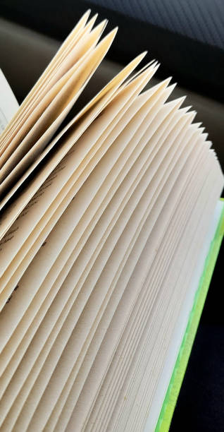 istock Turning Over Pages of Book Papers 1494791158