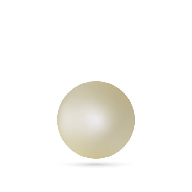 istock Pearl pearl. Vector design element. Decoration. Beauty and fashion. eps 10 1494794581
