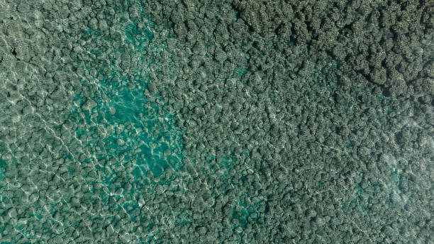 istock Issyk-Kul lake drone view 1494797830