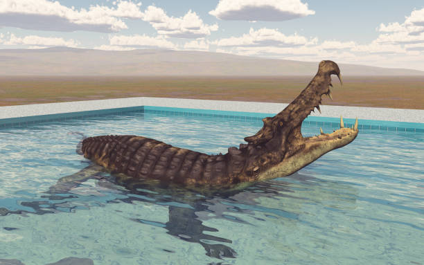 istock Prehistoric crocodile Kaprosuchus in the swimming pool 1494801943