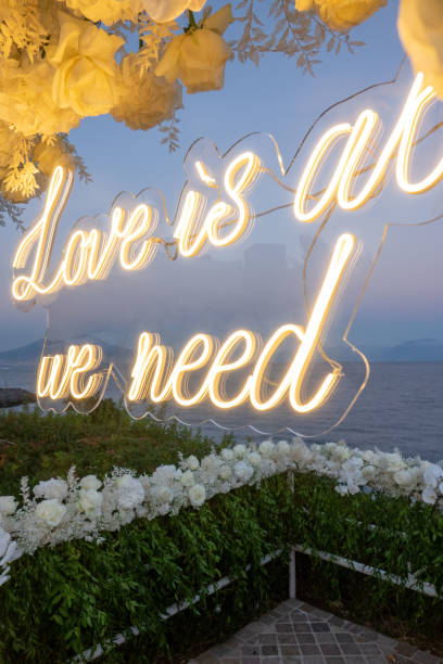 istock Neon lettering with naples vesuvius background and flowers 1494803113