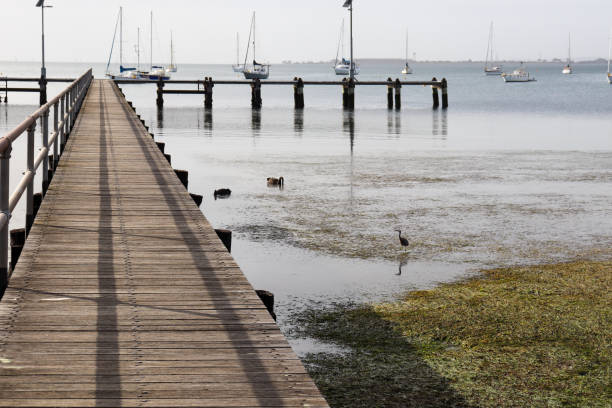 istock wooden pier on the sea 1494803169