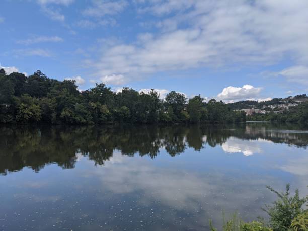 istock Serene lake with a few trees scattered around its banks, providing an idyllic setting 1494803612