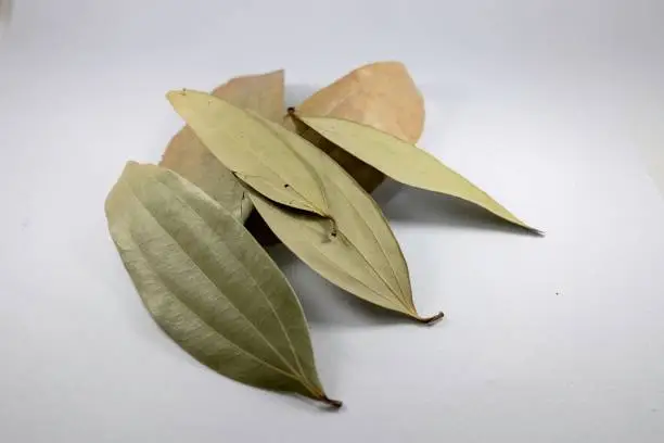 An image of dried bay laurel leaves placed on a white background featuring a water surface