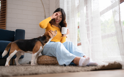 On weekends, a beagle and her owner sit in their living room, sipping coffee and gazing out the window.