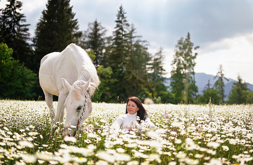 Woman sitting in a forest spring sun lit meadow full of daisy flowers, white Arabian horse next to her