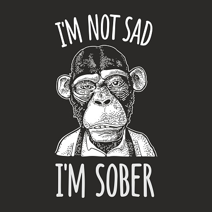 Monkey businessman dressed in the shirt and suspender. Vintage black engraving illustration for poster. Isolated on white background. Handwriting lettering - i'm not sad i'm sober