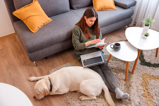 istock Female freelancer working remotely from home using laptop computer with her pet dog 1494817598