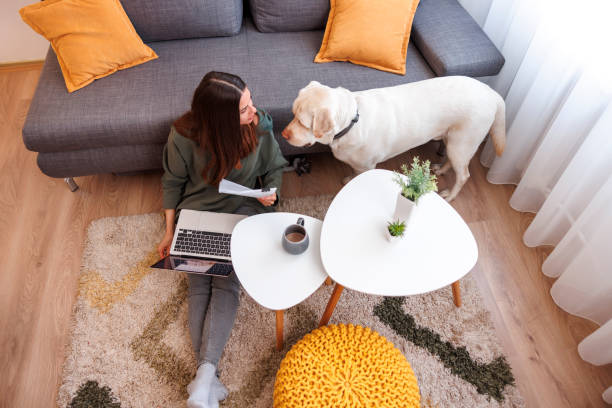 istock Woman working remotely from home using laptop computer with her pet dog 1494817651