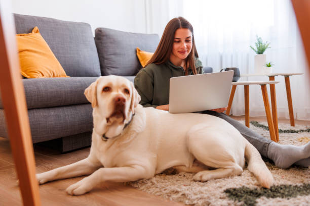 istock Female freelancer cuddling her dog while working remotely from home 1494817979
