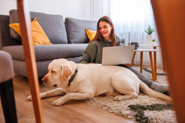 istock Woman cuddling her dog while working remotely from home 1494818501