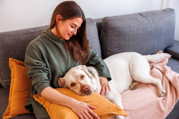 istock Woman and dog relaxing at home 1494818577