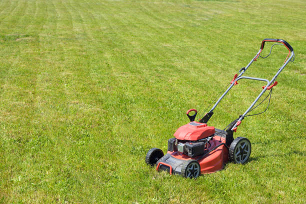 istock Lawn mower on cut grass. Mowing the grass. 1494818651