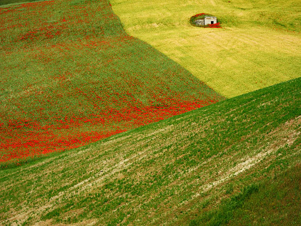 rural landscape abstract stock photo
